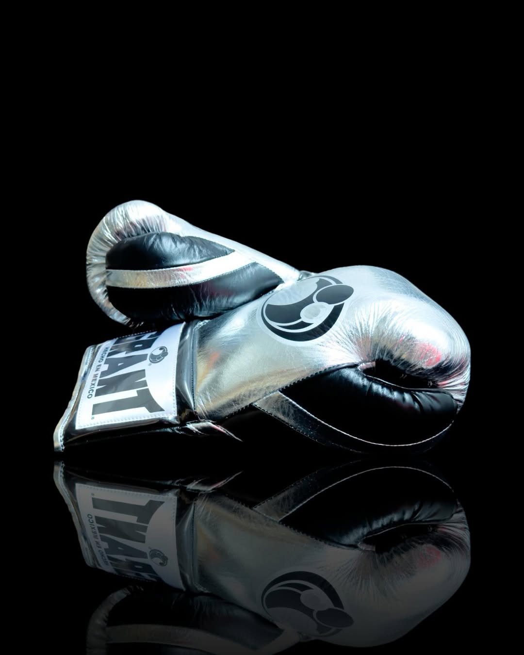 Grant Pro Fighting Boxing Gloves - Black & Silver