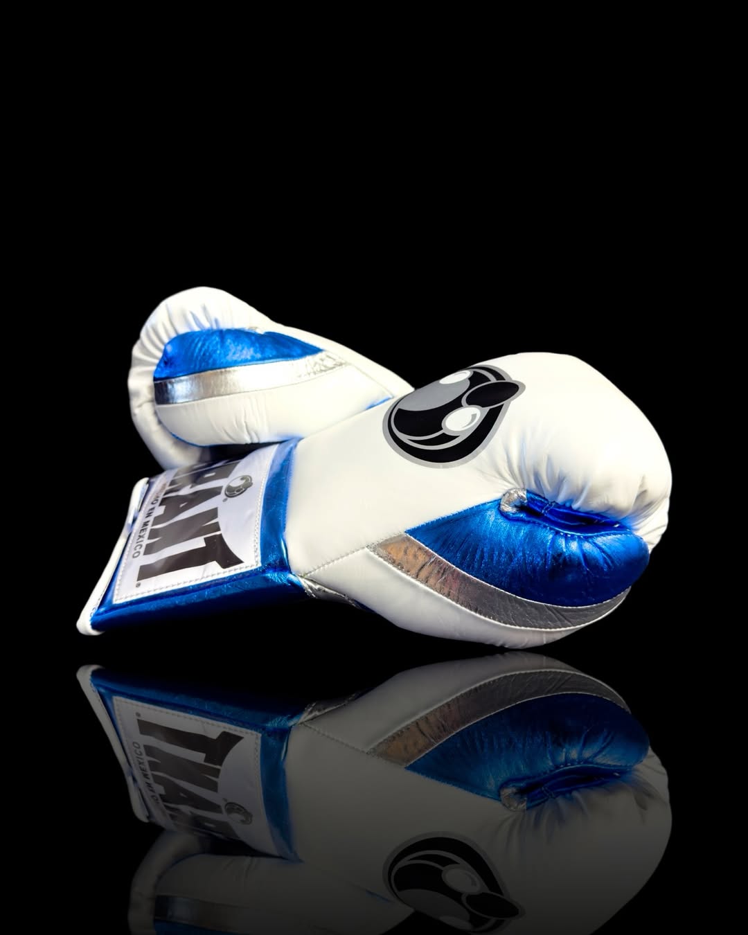 Grant Pro Fighting Boxing Gloves - White & Blue